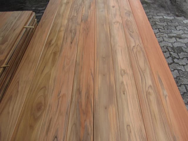 Teak (Tectona grandis)
